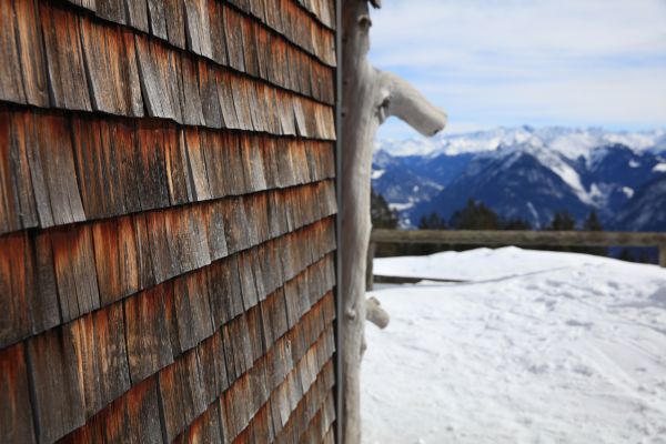Cedar Siding Repair in Snohomish