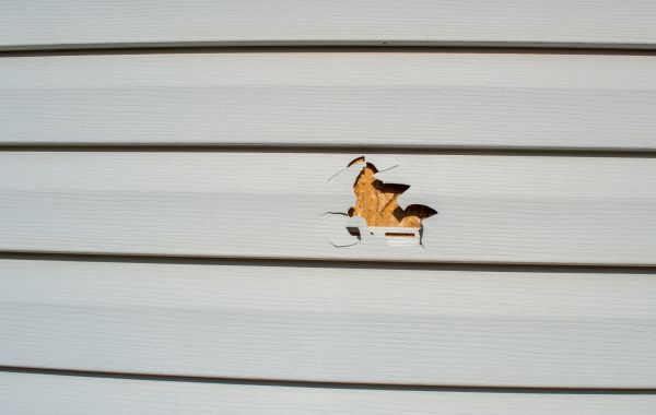 Siding Hole Patching in Snohomish