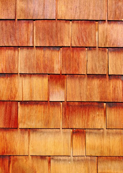 Cost of Wood Siding Replacement in Snohomish
