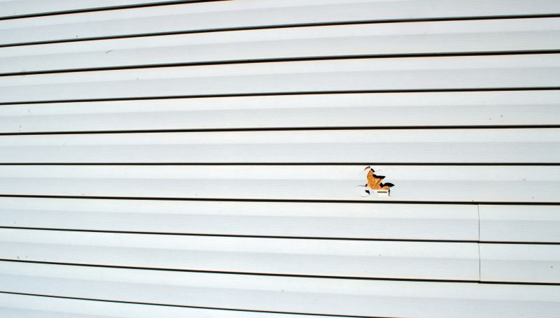 Vinyl Siding Repair Consultation